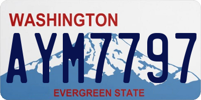 WA license plate AYM7797