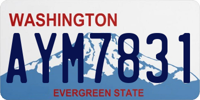 WA license plate AYM7831