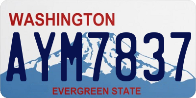WA license plate AYM7837