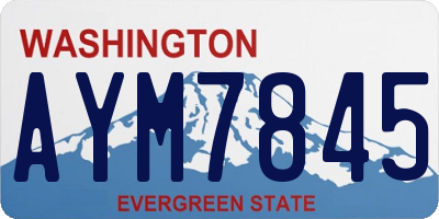 WA license plate AYM7845