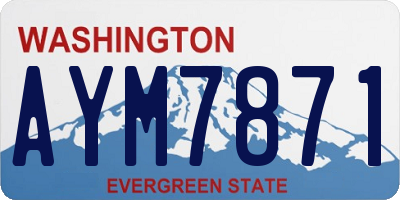WA license plate AYM7871