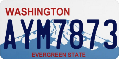 WA license plate AYM7873