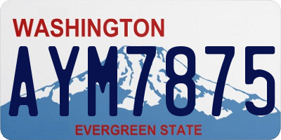 WA license plate AYM7875