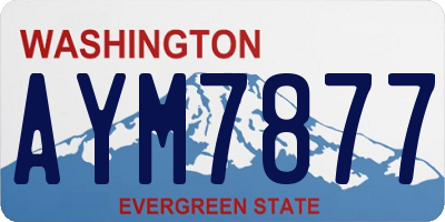 WA license plate AYM7877