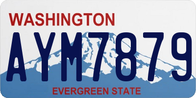 WA license plate AYM7879