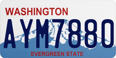 WA license plate AYM7880