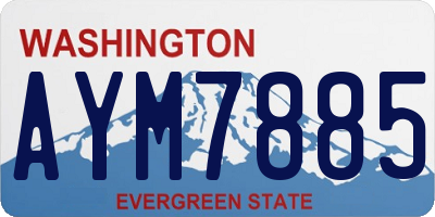 WA license plate AYM7885