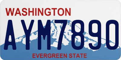 WA license plate AYM7890