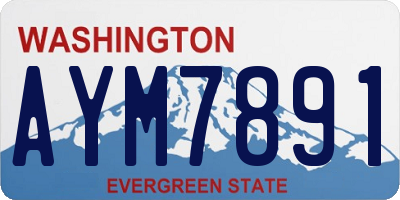 WA license plate AYM7891