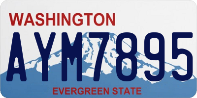 WA license plate AYM7895