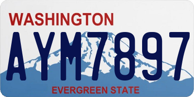 WA license plate AYM7897