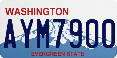 WA license plate AYM7900