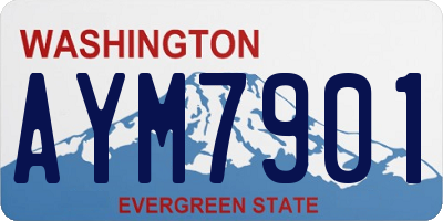 WA license plate AYM7901