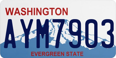 WA license plate AYM7903
