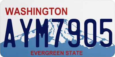 WA license plate AYM7905