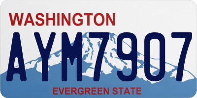 WA license plate AYM7907