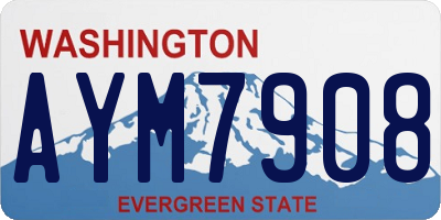 WA license plate AYM7908