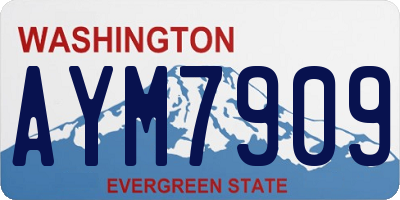 WA license plate AYM7909
