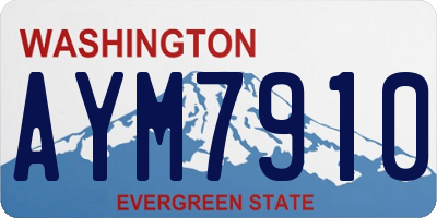 WA license plate AYM7910