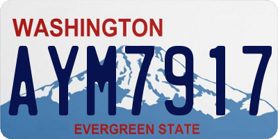 WA license plate AYM7917