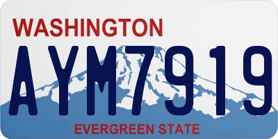 WA license plate AYM7919