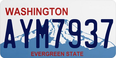 WA license plate AYM7937
