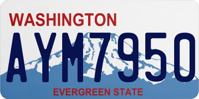 WA license plate AYM7950