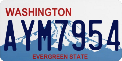 WA license plate AYM7954