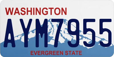 WA license plate AYM7955
