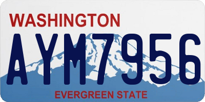 WA license plate AYM7956