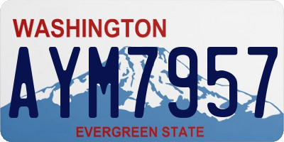 WA license plate AYM7957