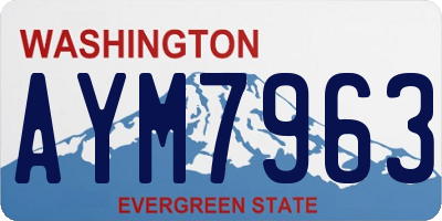 WA license plate AYM7963