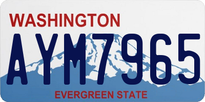 WA license plate AYM7965