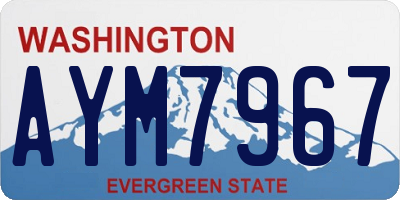 WA license plate AYM7967