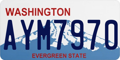 WA license plate AYM7970