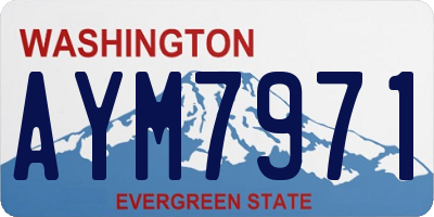 WA license plate AYM7971