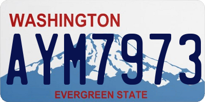 WA license plate AYM7973