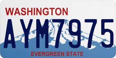 WA license plate AYM7975