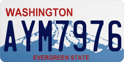 WA license plate AYM7976