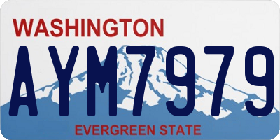 WA license plate AYM7979