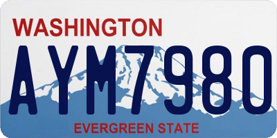 WA license plate AYM7980