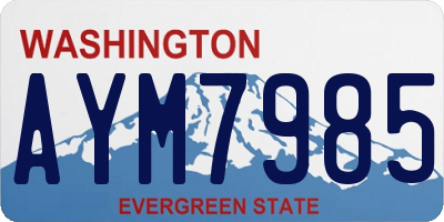 WA license plate AYM7985