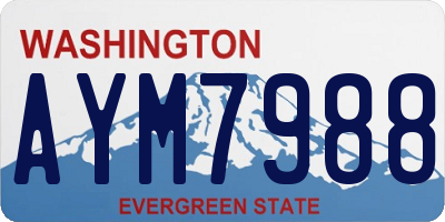 WA license plate AYM7988
