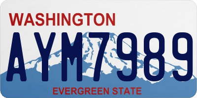 WA license plate AYM7989