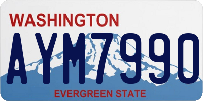 WA license plate AYM7990