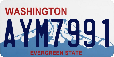 WA license plate AYM7991