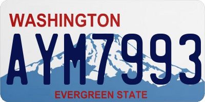 WA license plate AYM7993