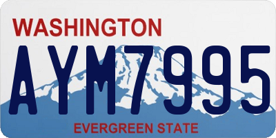 WA license plate AYM7995