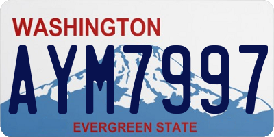 WA license plate AYM7997