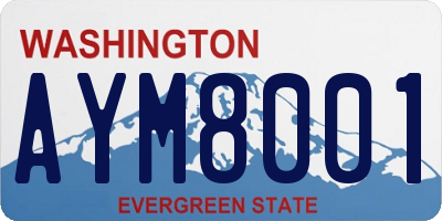 WA license plate AYM8001